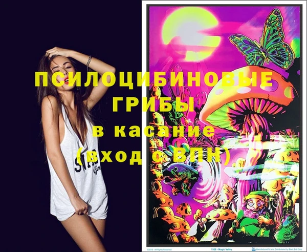 тгк Вязники