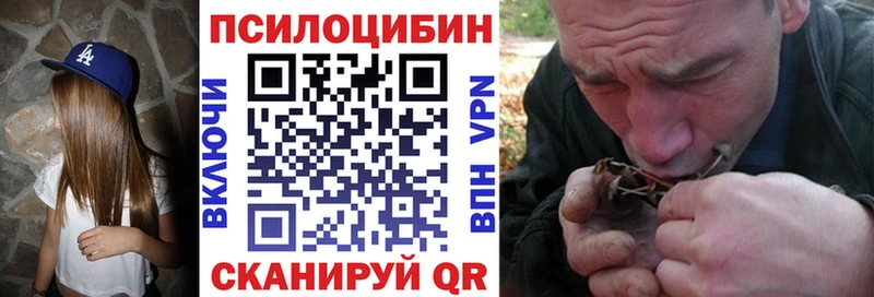 Галлюциногенные грибы Psilocybe  Карачев 